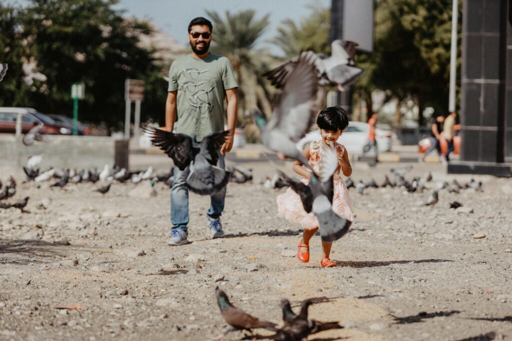 Pigeons in Human Culture